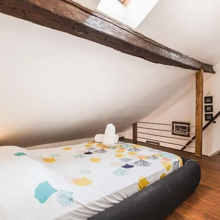 Le Philosophe - Flat In The Heart Of Annecy's Old Town Apartment