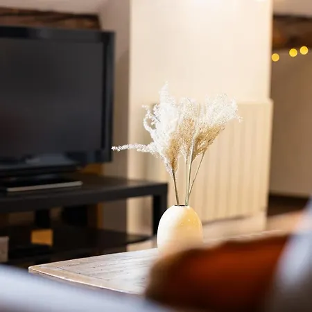 Le Philosophe - Flat In The Heart Of Annecy's Old Town Apartment